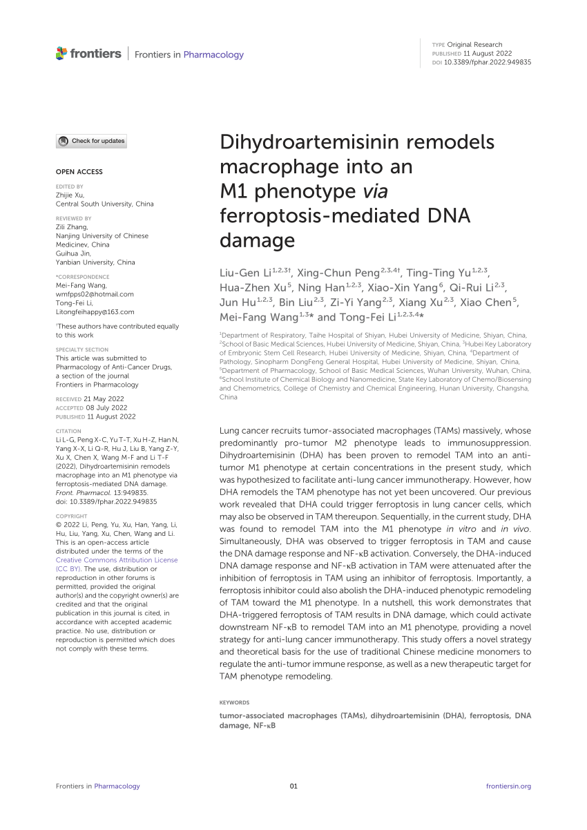 PDF) Dihydroartemisinin remodels macrophage into an M1 phenotype 