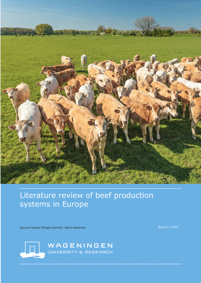 PDF) Literature review of beef production systems in Europe