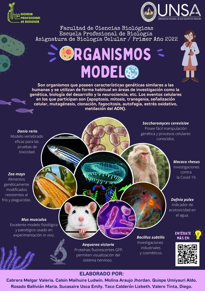 PDF) BIOLOGÍA CELULAR Y ORGANISMOS MODELO