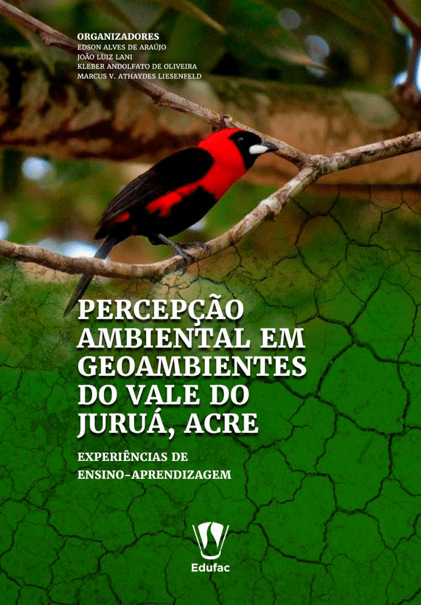 papa-capim-de-caquetá (Sporophila murallae)  WikiAves - A Enciclopédia das  Aves do Brasil