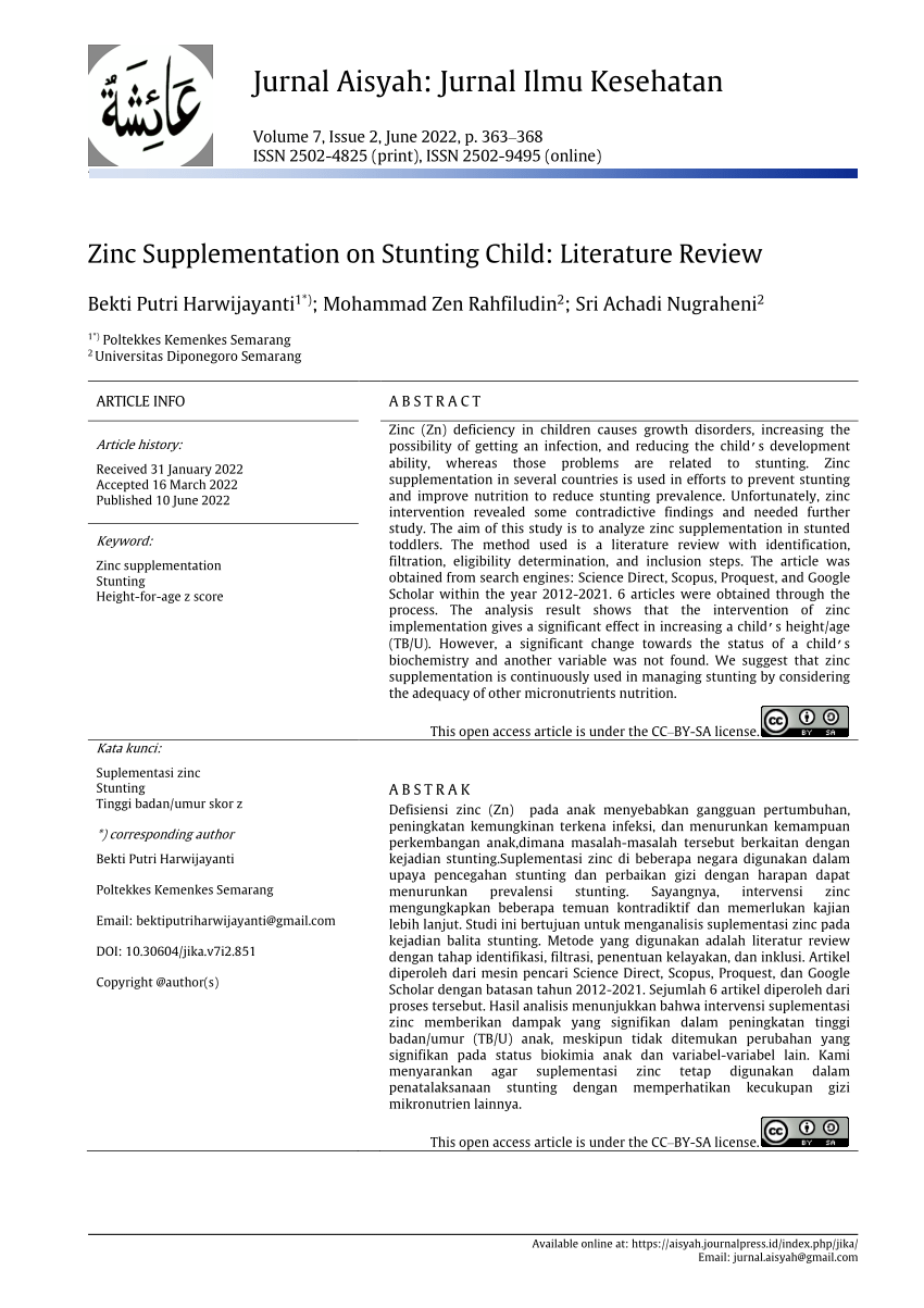literature review on zinc
