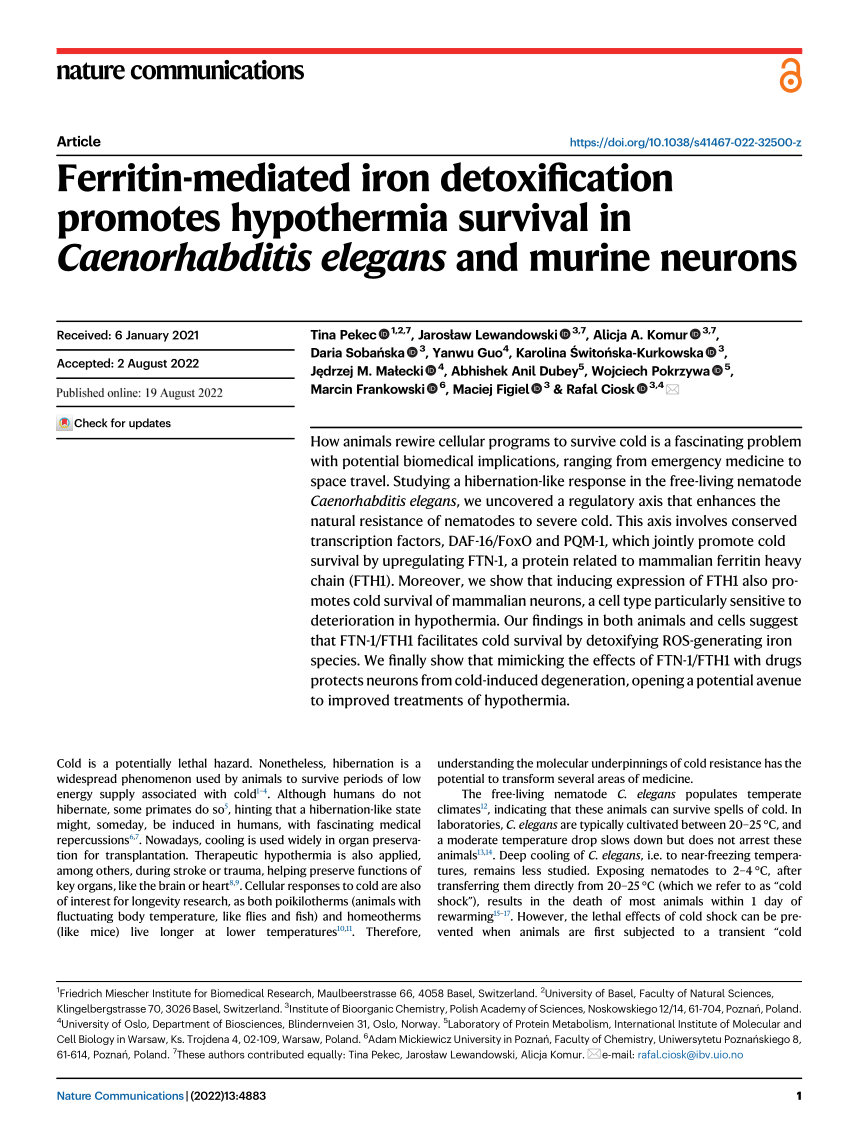 PDF Ferritin mediated iron detoxification promotes hypothermia