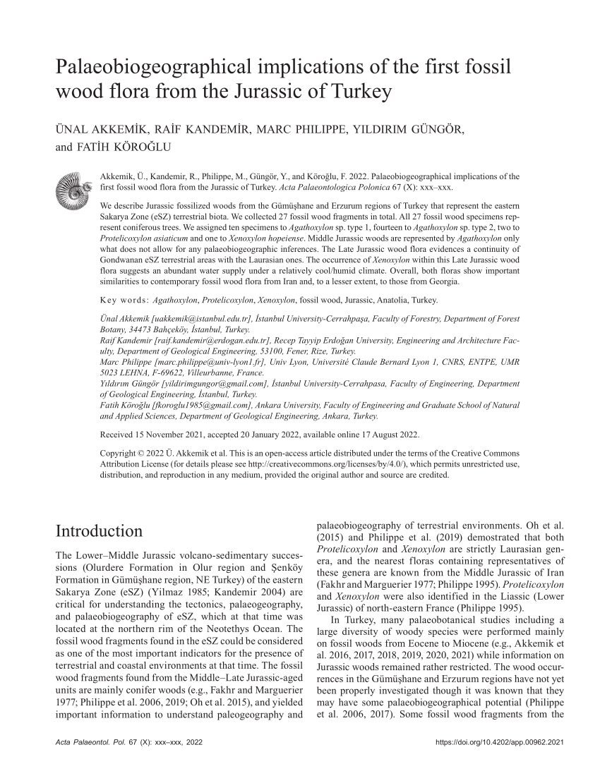 PDF Palaeobiogeographical implications of the first fossil wood  