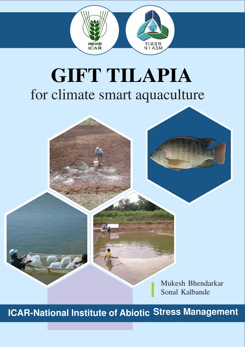 Genomic prediction for feed efficiency traits in Nile tilapia - Responsible  Seafood Advocate