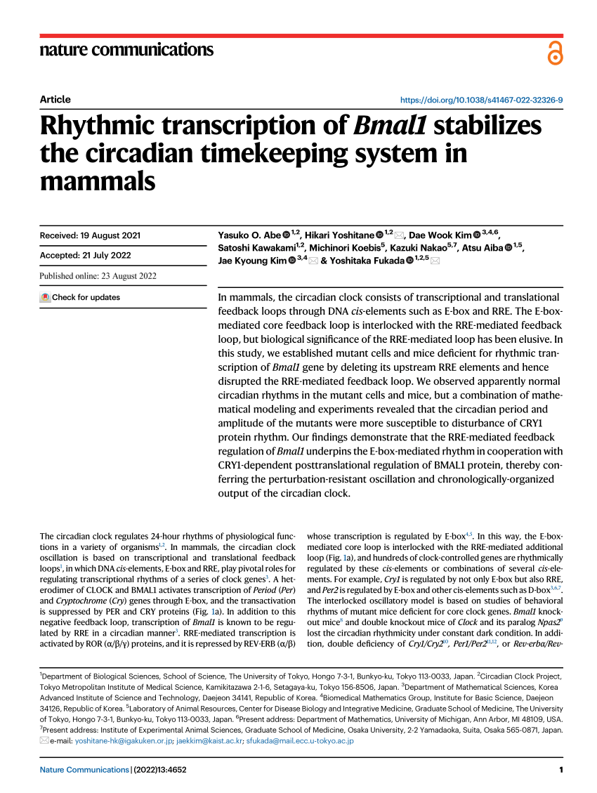 (PDF) Rhythmic transcription of Bmal1 stabilizes the circadian