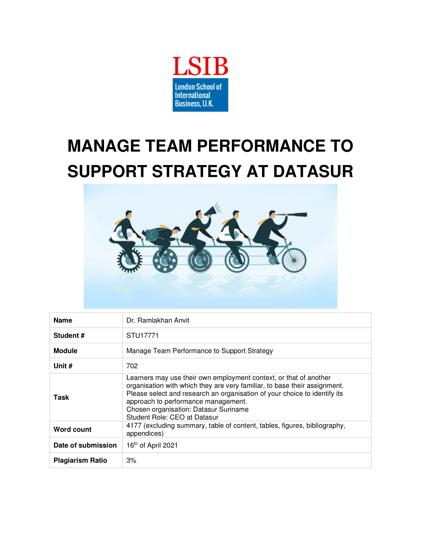 pdf-manage-team-performance-to-support-strategy-at-datasur