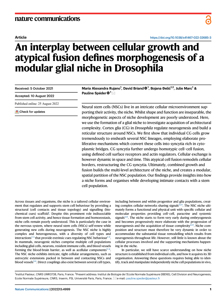 https://i1.rgstatic.net/publication/362937232_An_interplay_between_cellular_growth_and_atypical_fusion_defines_morphogenesis_of_a_modular_glial_niche_in_Drosophila/links/63081b0d61e4553b953b510f/largepreview.png