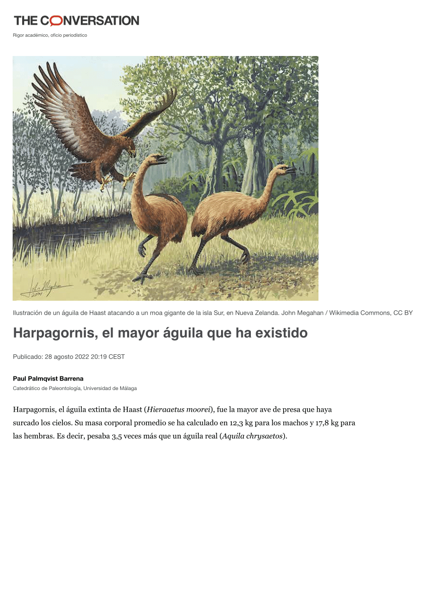 PDF) Harpagornis, el mayor águila que ha existido