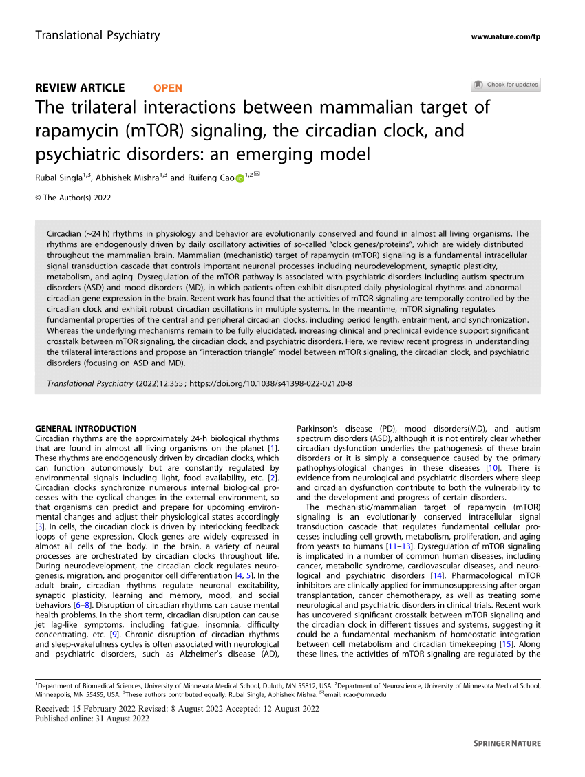 (PDF) The trilateral interactions between mammalian target of rapamycin