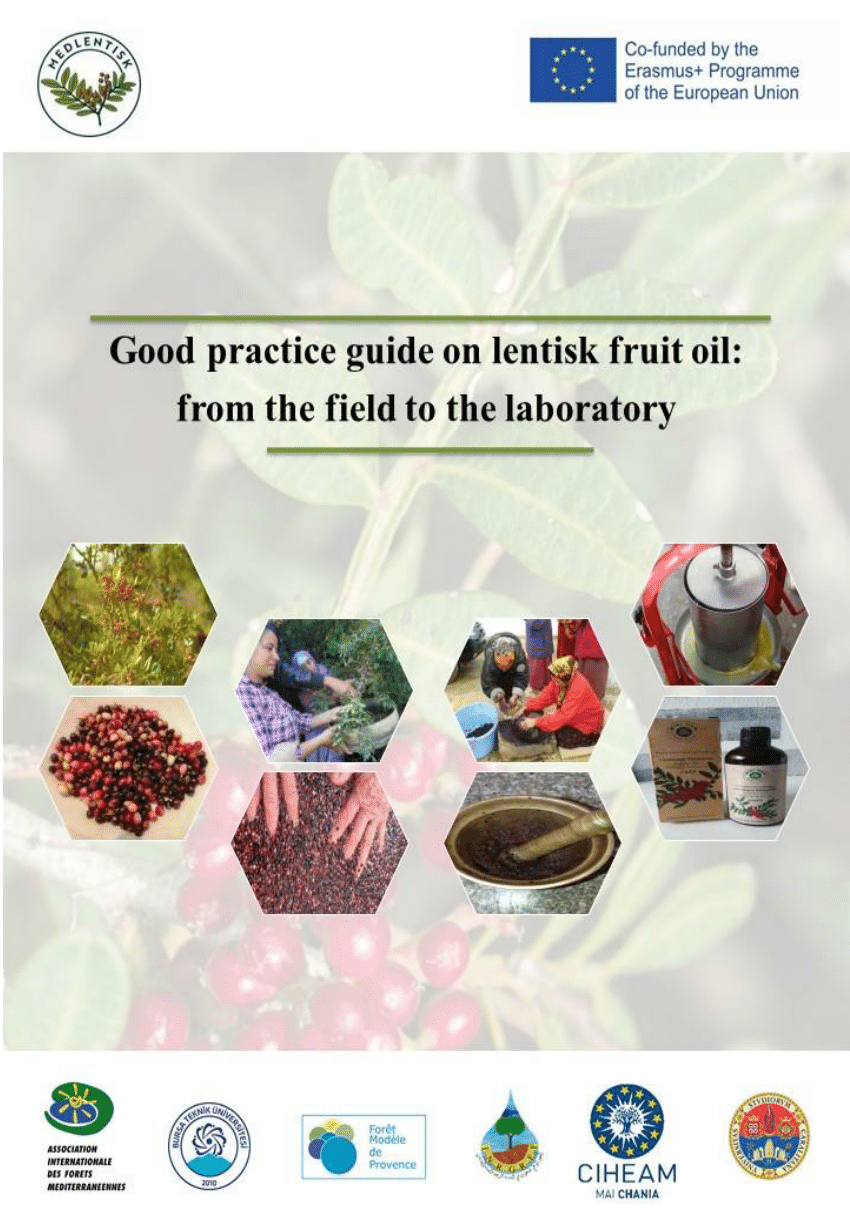 PDF) Good practice guide on lentisk fruit oil: from the field to the  laboratory