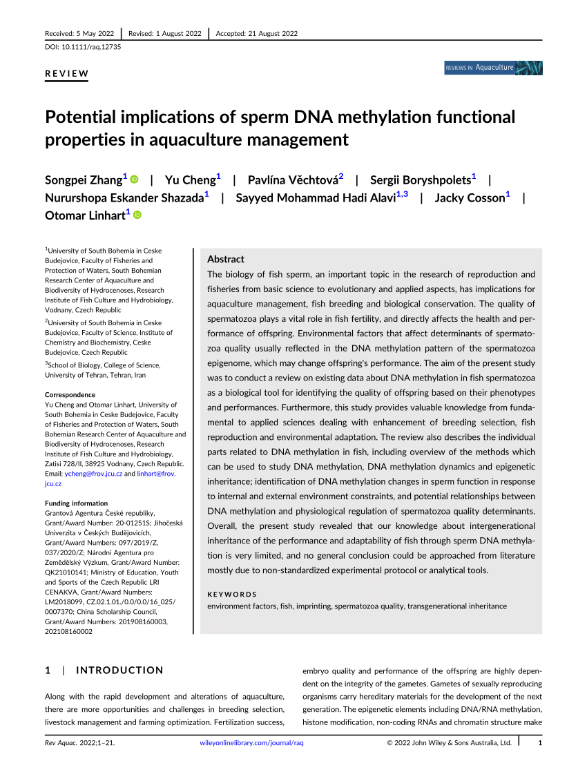 PDF) Potential implications of sperm DNA methylation functional 