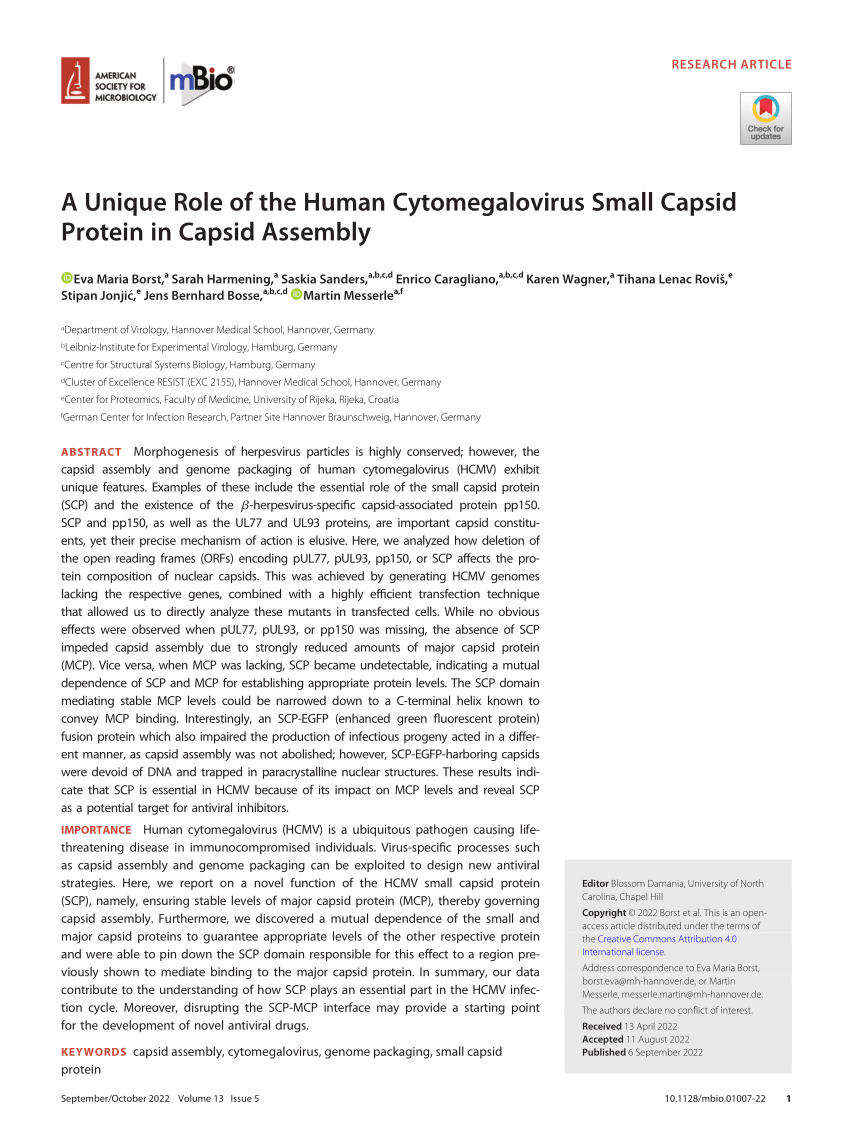 A Unique Role of the Human Cytomegalovirus Small Capsid Protein in