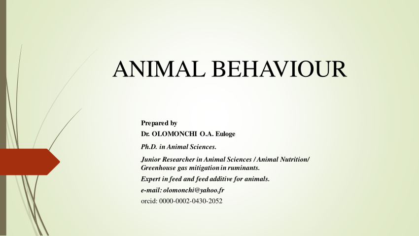 research on animal behaviour
