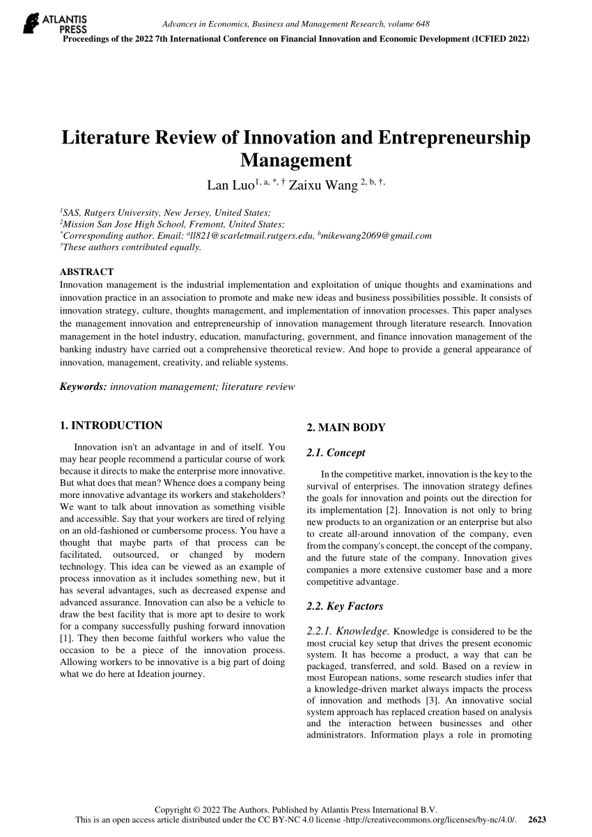 literature review on international entrepreneurship