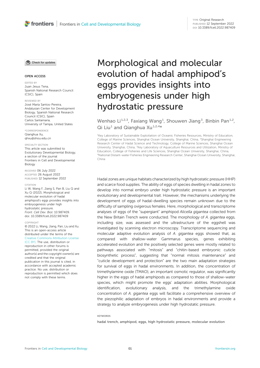 (PDF) Morphological and molecular evolution of hadal amphipod’s eggs