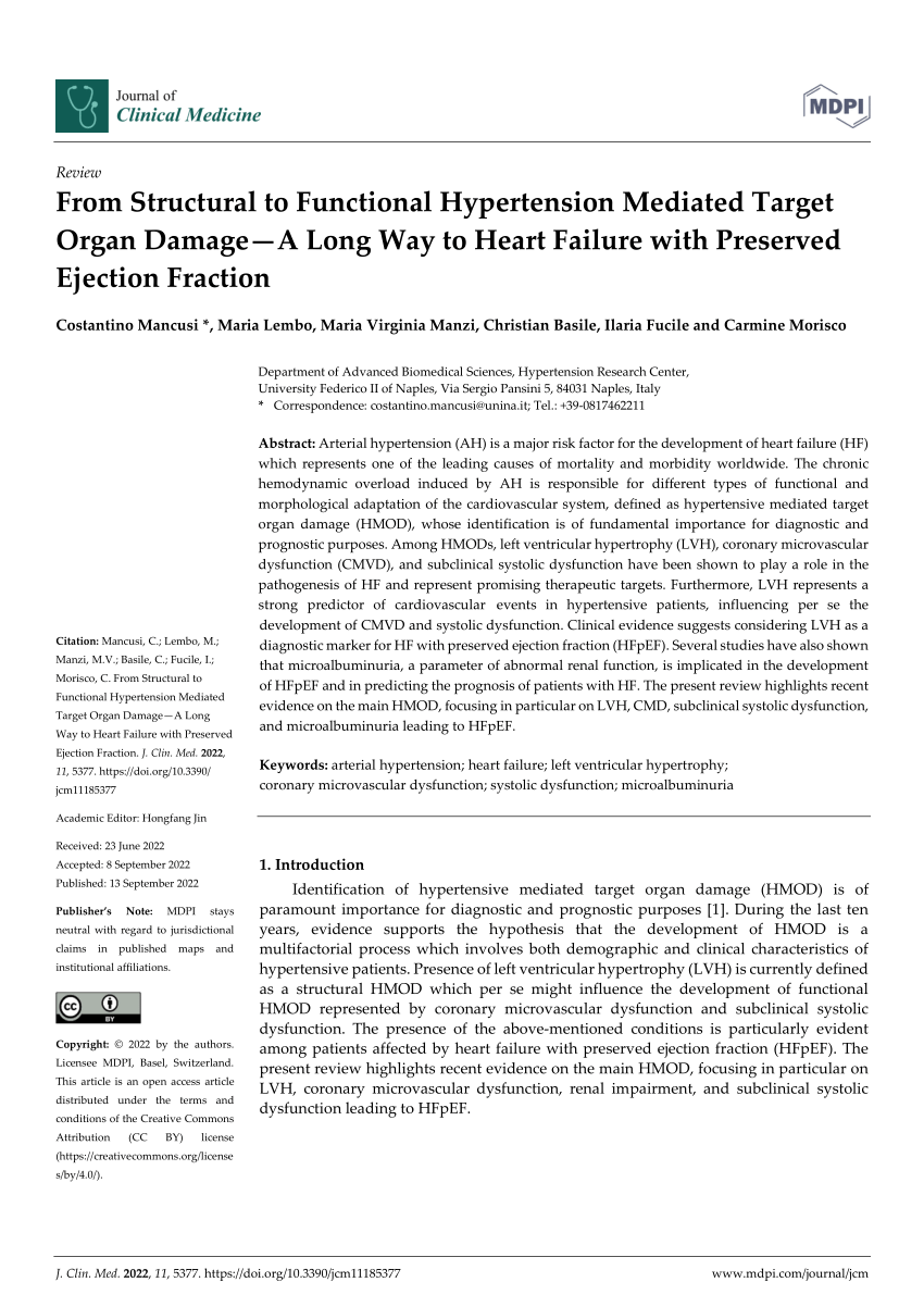 PDF From Structural To Functional Hypertension Mediated Target Organ   Largepreview 