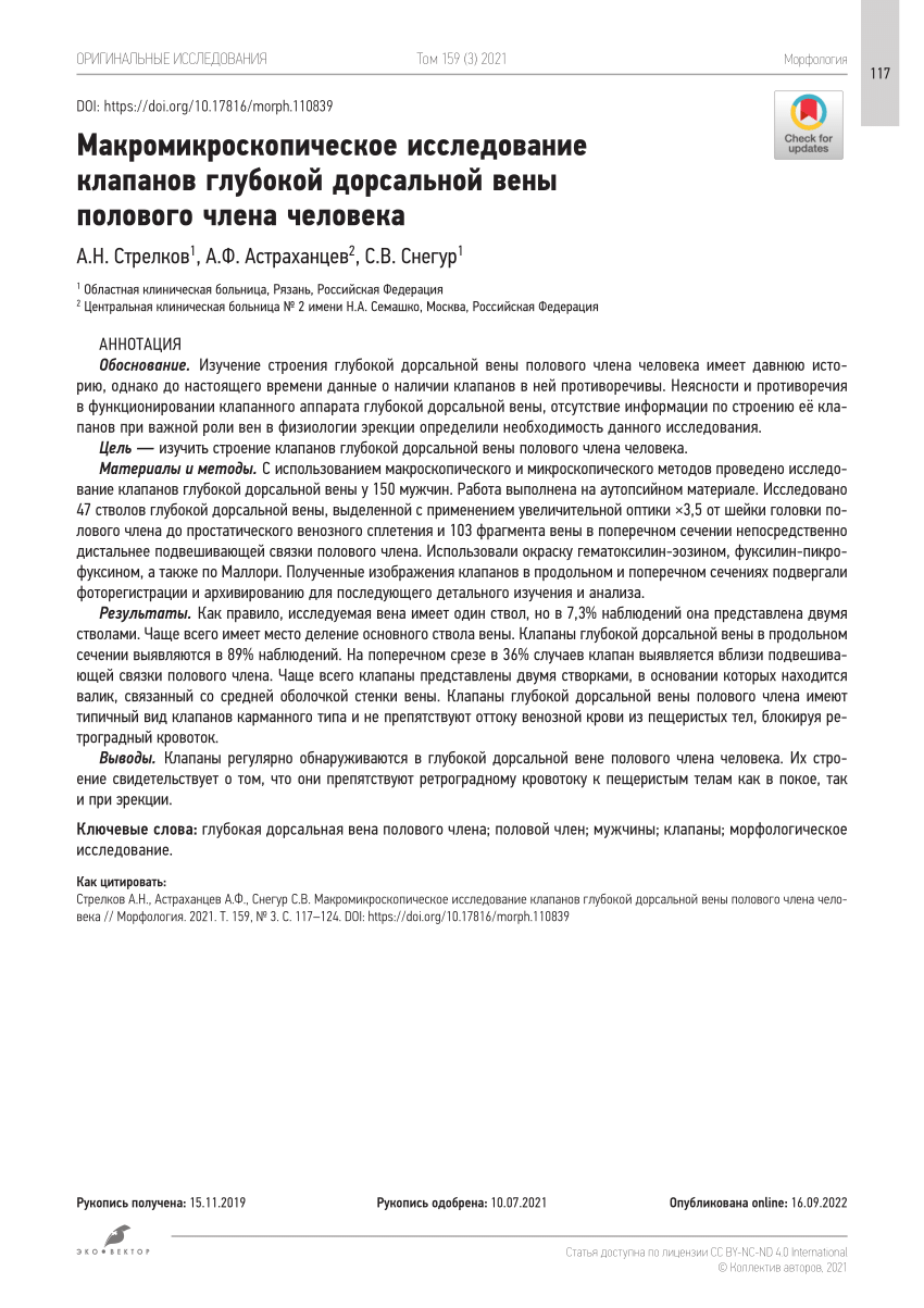 PDF) Macro-microscopic examination of the valves of the deep dorsal vein of  the human penis