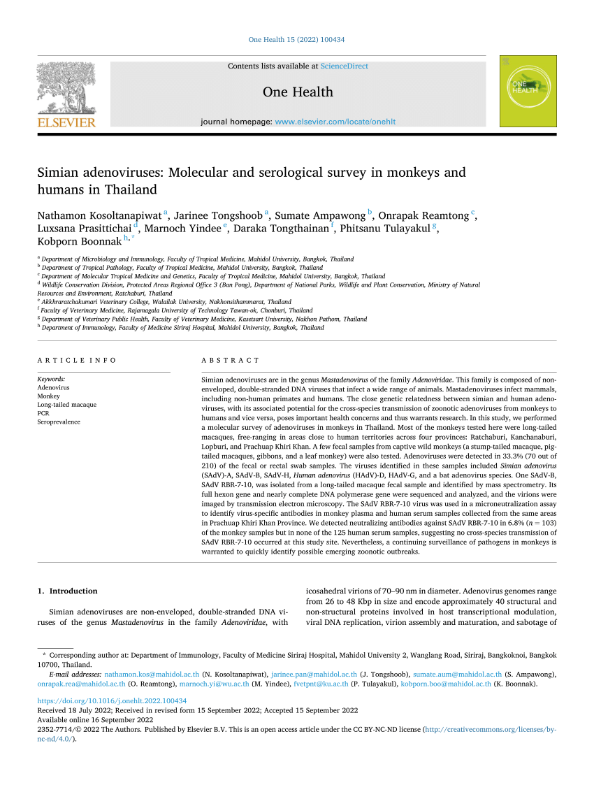 (PDF) Simian adenoviruses: Molecular and serological survey in monkeys