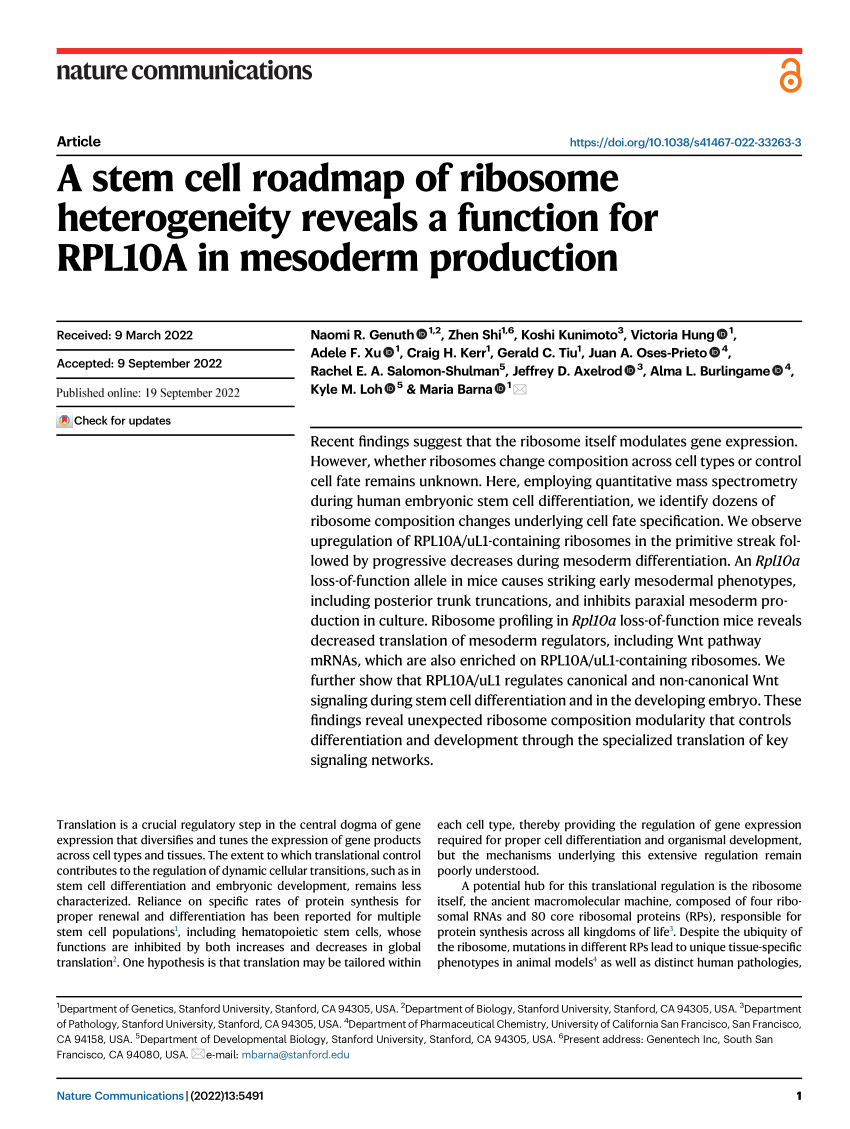 PDF A stem cell roadmap of ribosome heterogeneity reveals a
