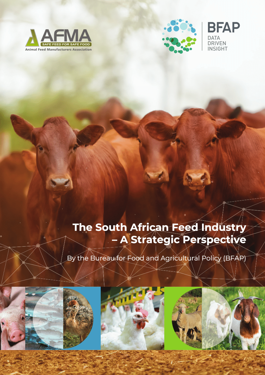 feedlot business plan south africa pdf