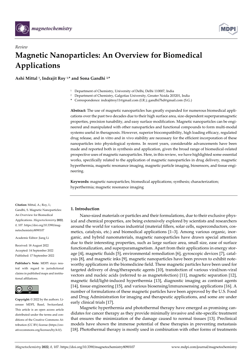 research paper about magnetic nanoparticles