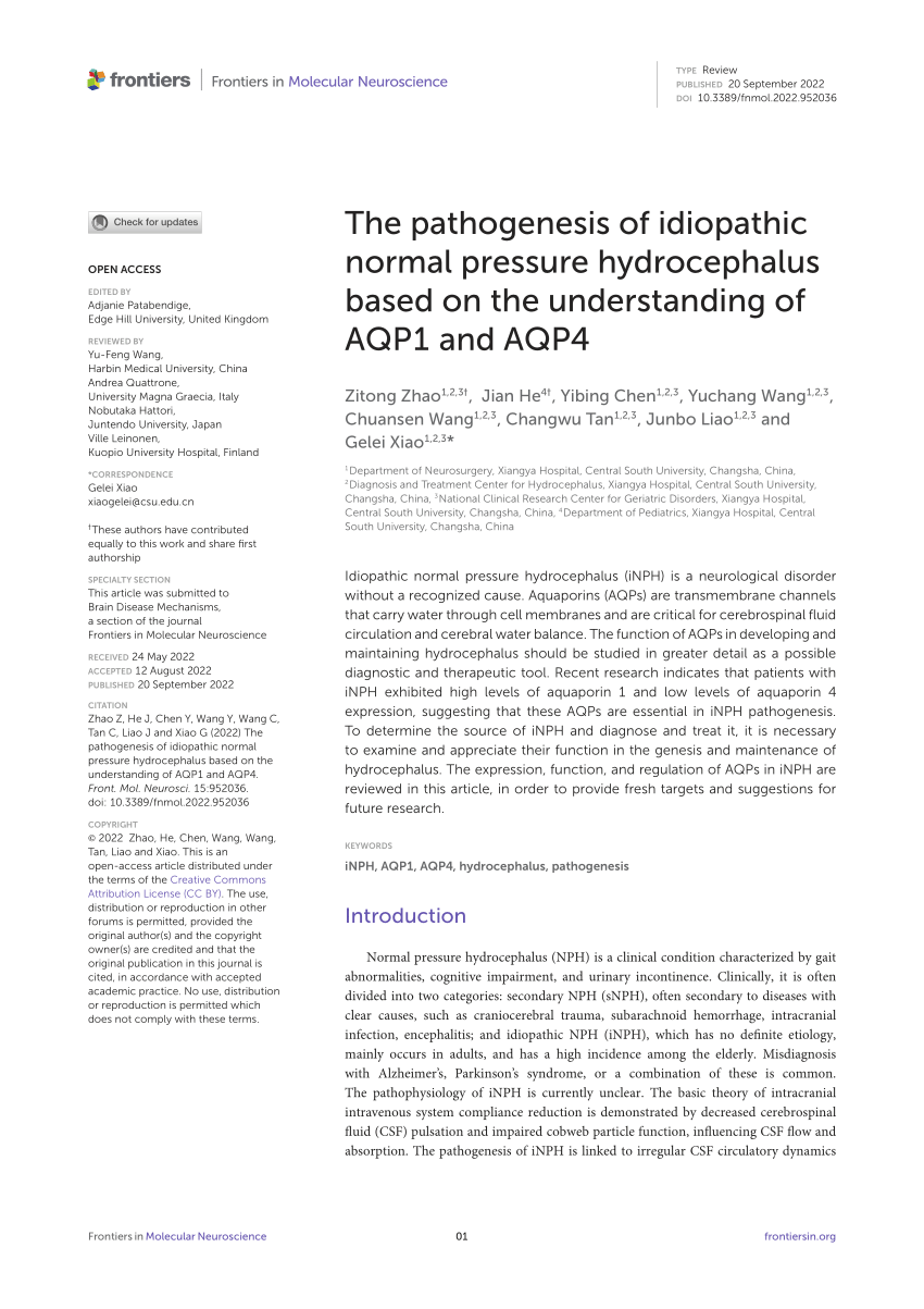 Pdf The Pathogenesis Of Idiopathic Normal Pressure Hydrocephalus Based On The Understanding Of 7939