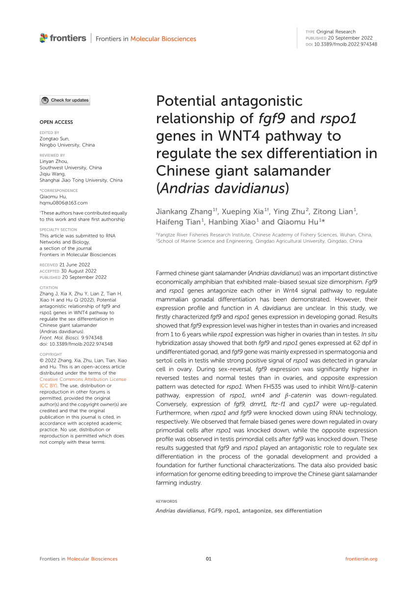 Pdf Potential Antagonistic Relationship Of Fgf9 And Rspo1 Genes In Wnt4 Pathway To Regulate 0141