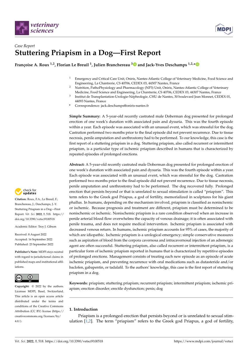 PDF Stuttering Priapism in a Dog First Report