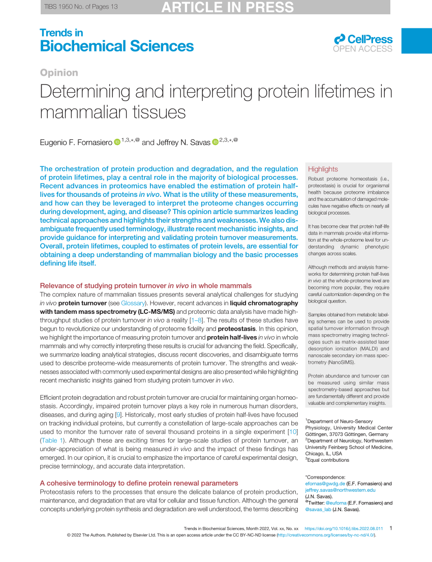 (PDF) Determining and interpreting protein lifetimes in mammalian tissues