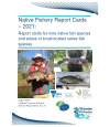Preview image for Native Fishery Report Cards -2021: Report cards for nine native fish species and status of small-bodied native fish species