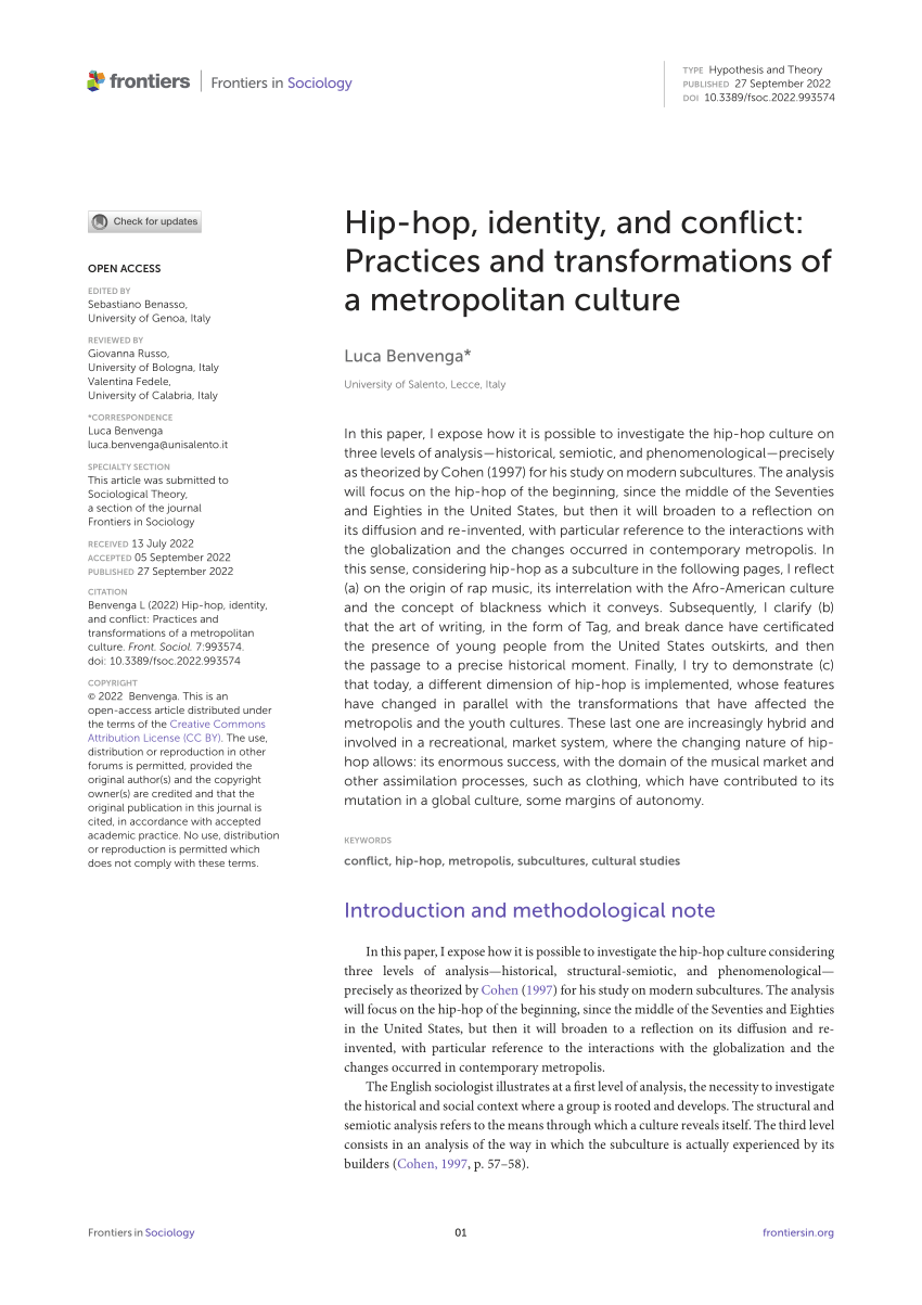 PDF) Hip-hop, identity, and conflict: Practices and transformations of a  metropolitan culture