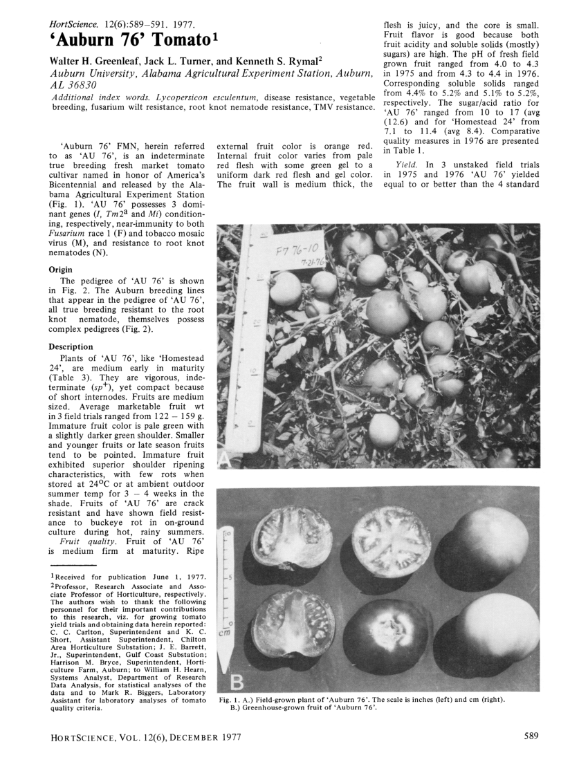 (PDF) ‘Auburn 76’ Tomato1