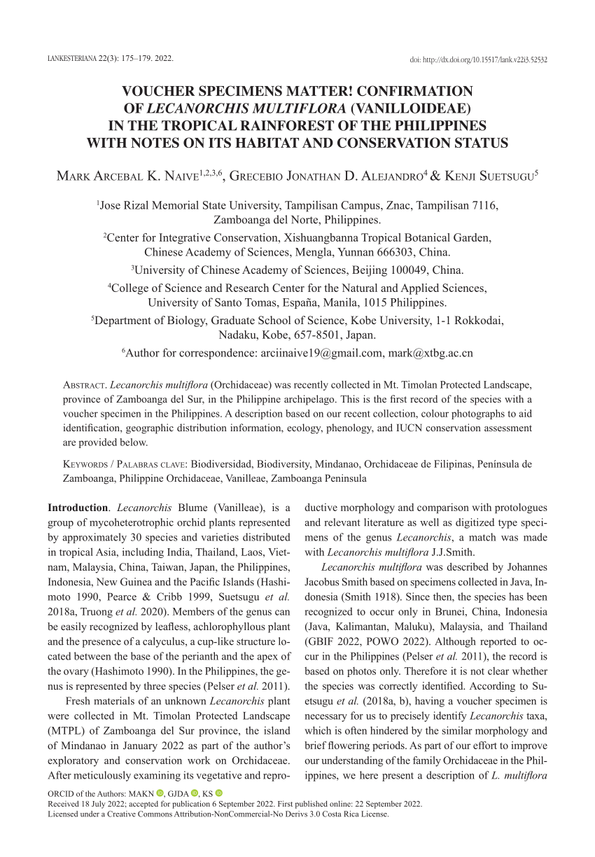 pdf-voucher-specimens-matter-confirmation-of-lecanorchis-multiflora