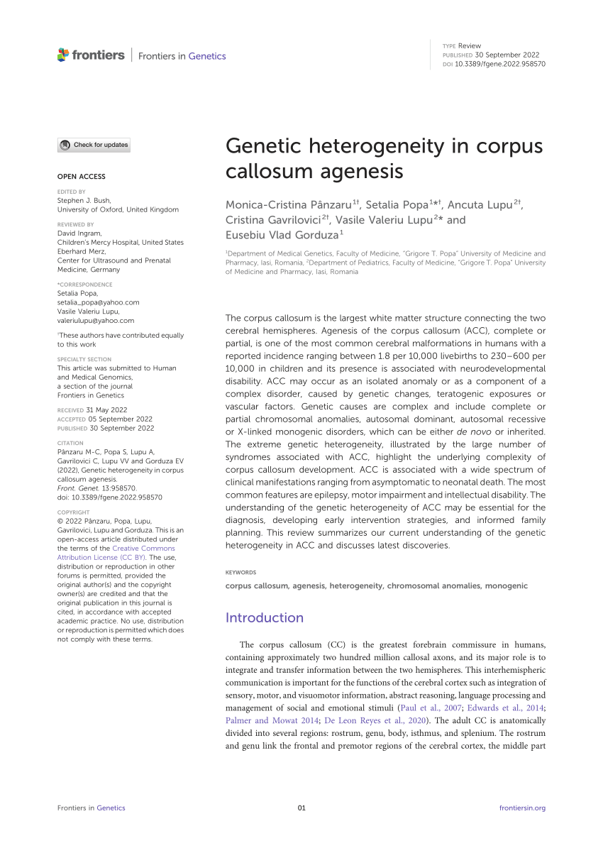 Frontiers  Case report: A preterm infant with rubinstein-taybi