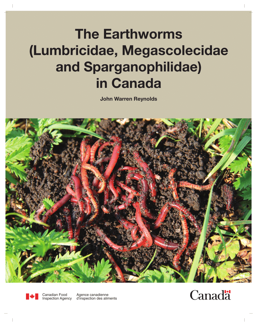 PDF) The Earthworms (Lumbricidae, Megascolecidae and Sparganophilidae) in  Canada