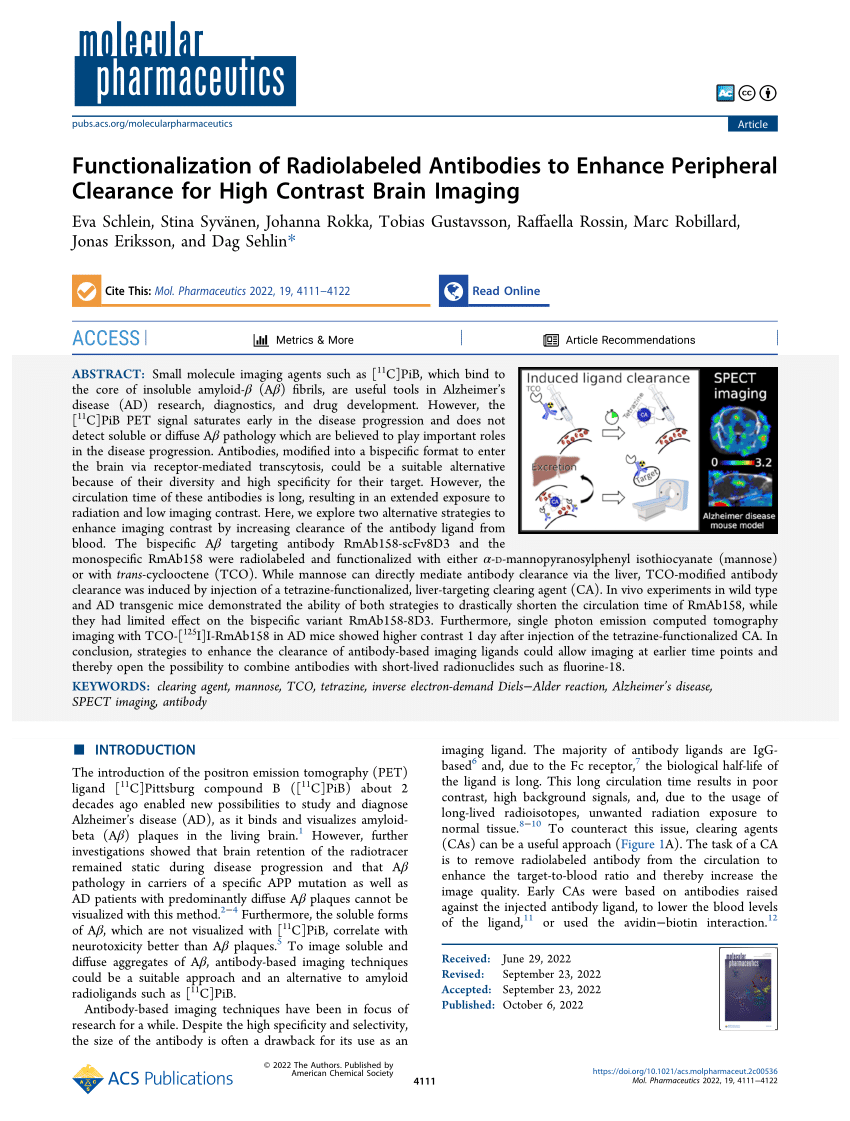 (PDF) Functionalization of Radiolabeled Antibodies to Enhance