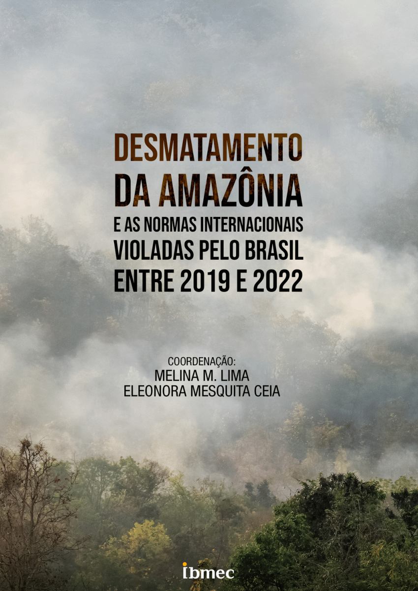 O ar é insuportável”: Os impactos das queimadas associadas ao desmatamento  da Amazônia brasileira na saúde