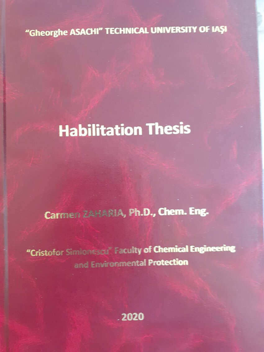 habilitation thesis