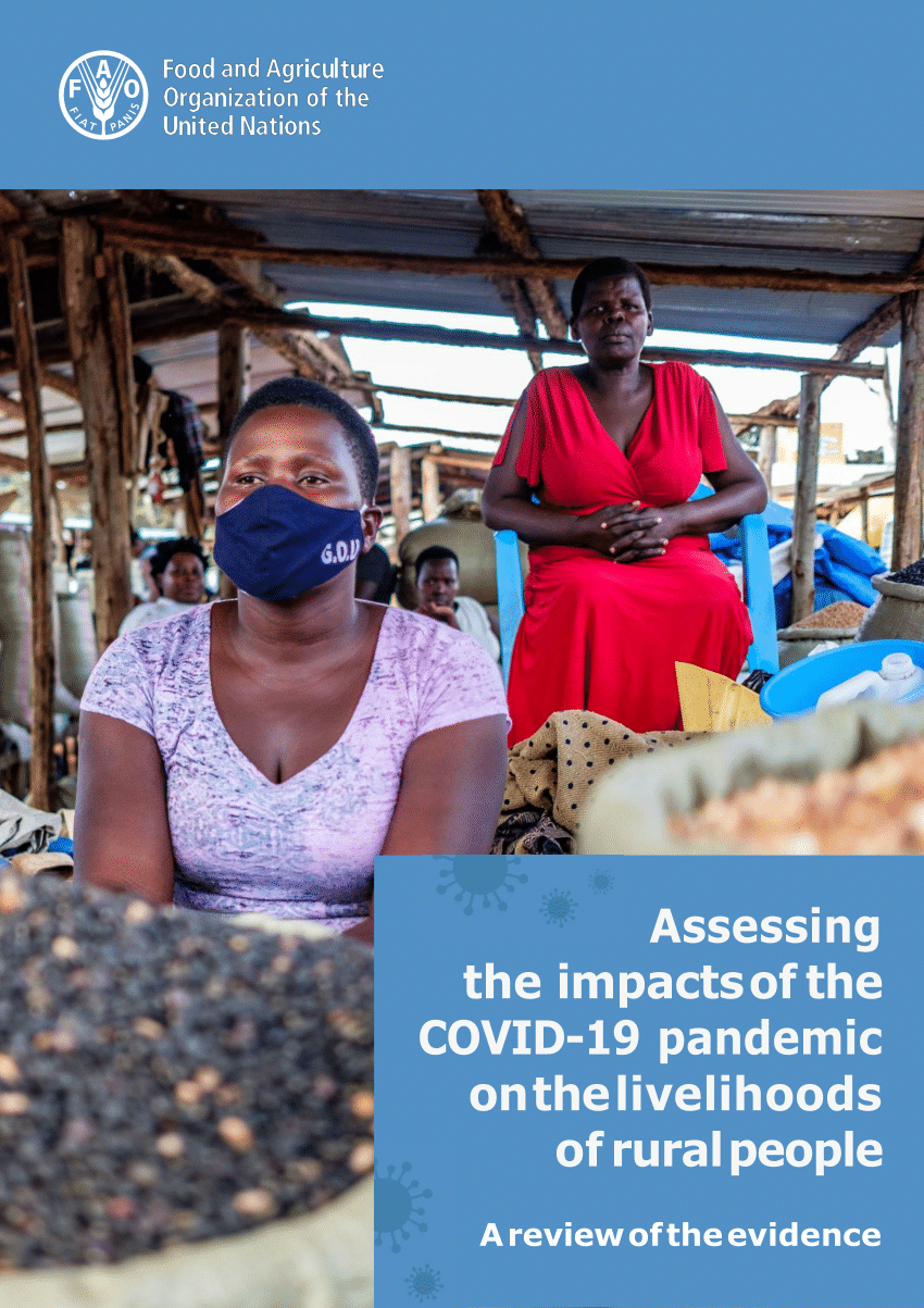 PDF) Assessing the impacts of the COVID-19 pandemic on the livelihoods of  rural people A review of the evidence