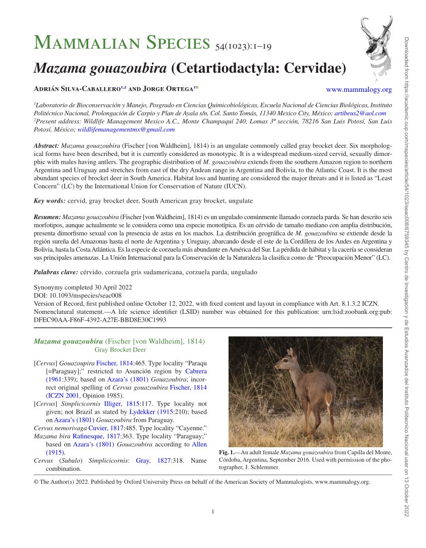 Neotropical Cervidology: Biology and Medicine of Latin American Deer –  Livraria Funep