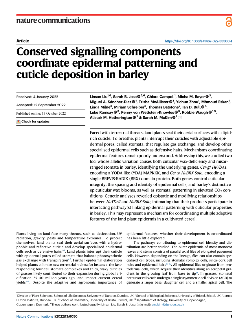 PDF) Conserved signalling components coordinate epidermal patterning and  cuticle deposition in barley