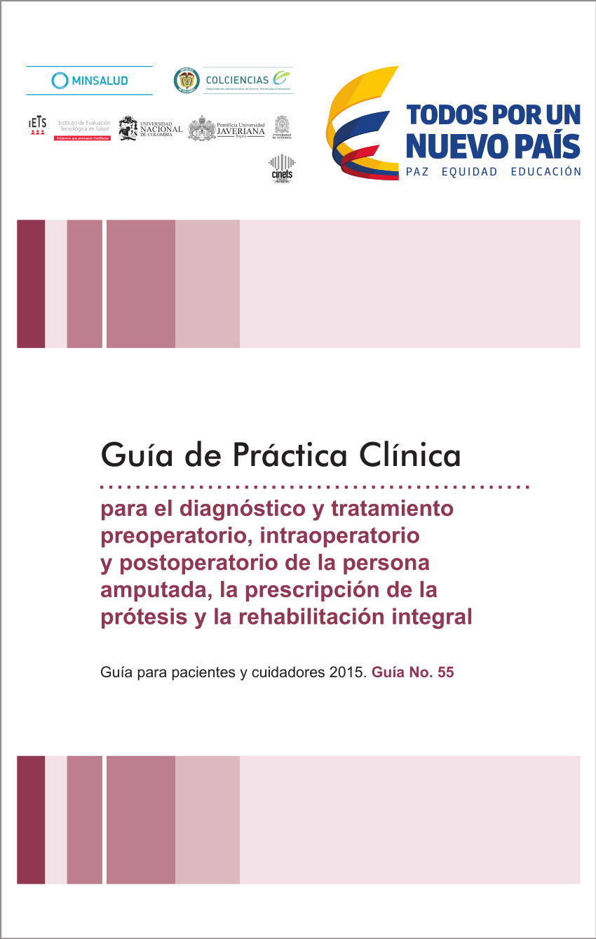 Pdf Guía De Práctica Clínica Para El Diagnóstico Y Tratamiento Preoperatorio Intraoperatorio 9797