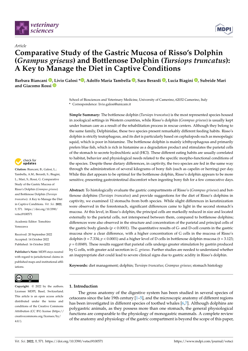 (PDF) Comparative Study of the Gastric Mucosa of Risso’s Dolphin