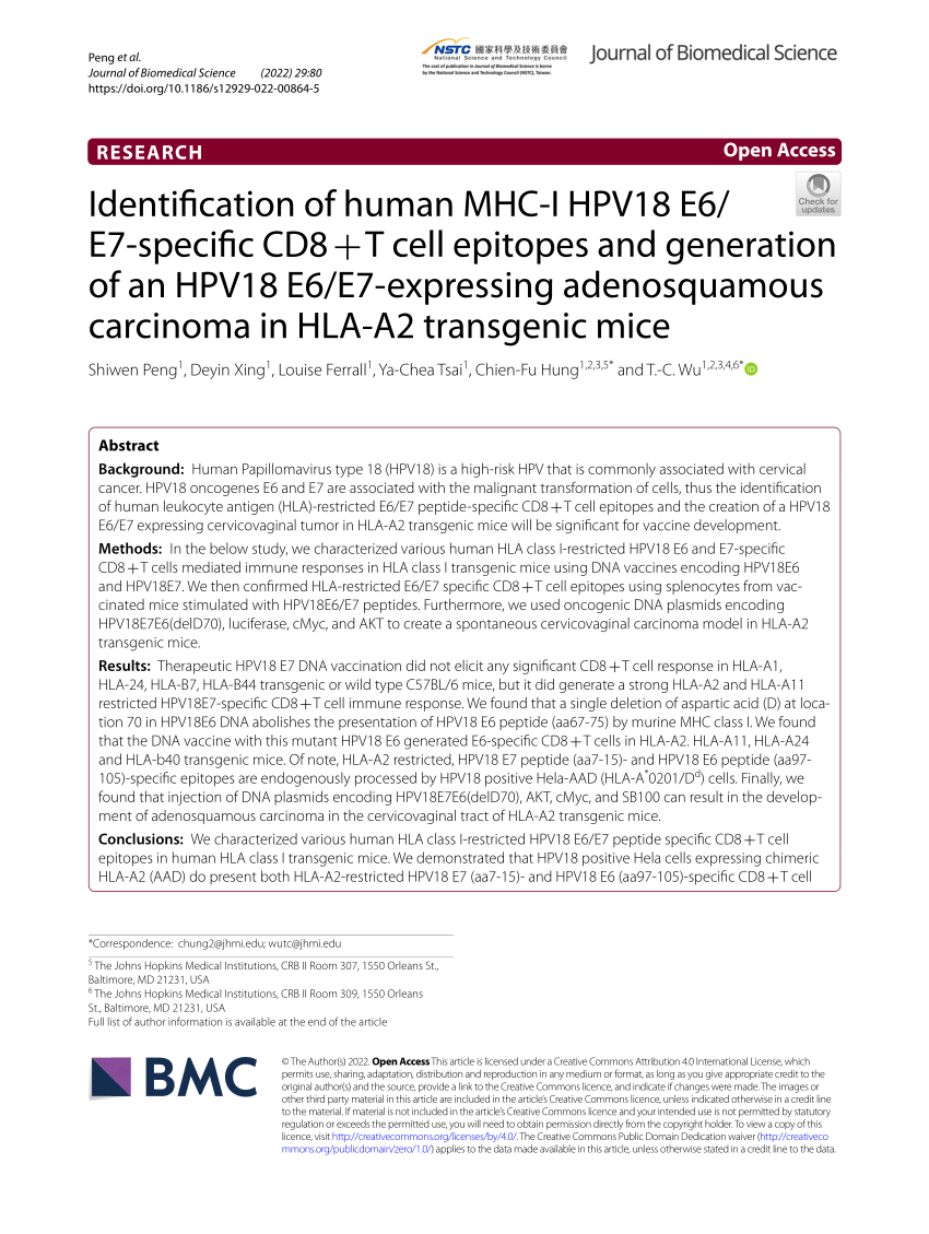 Pdf Identification Of Human Mhc I Hpv18 E6 E7 Specific Cd8 T Cell