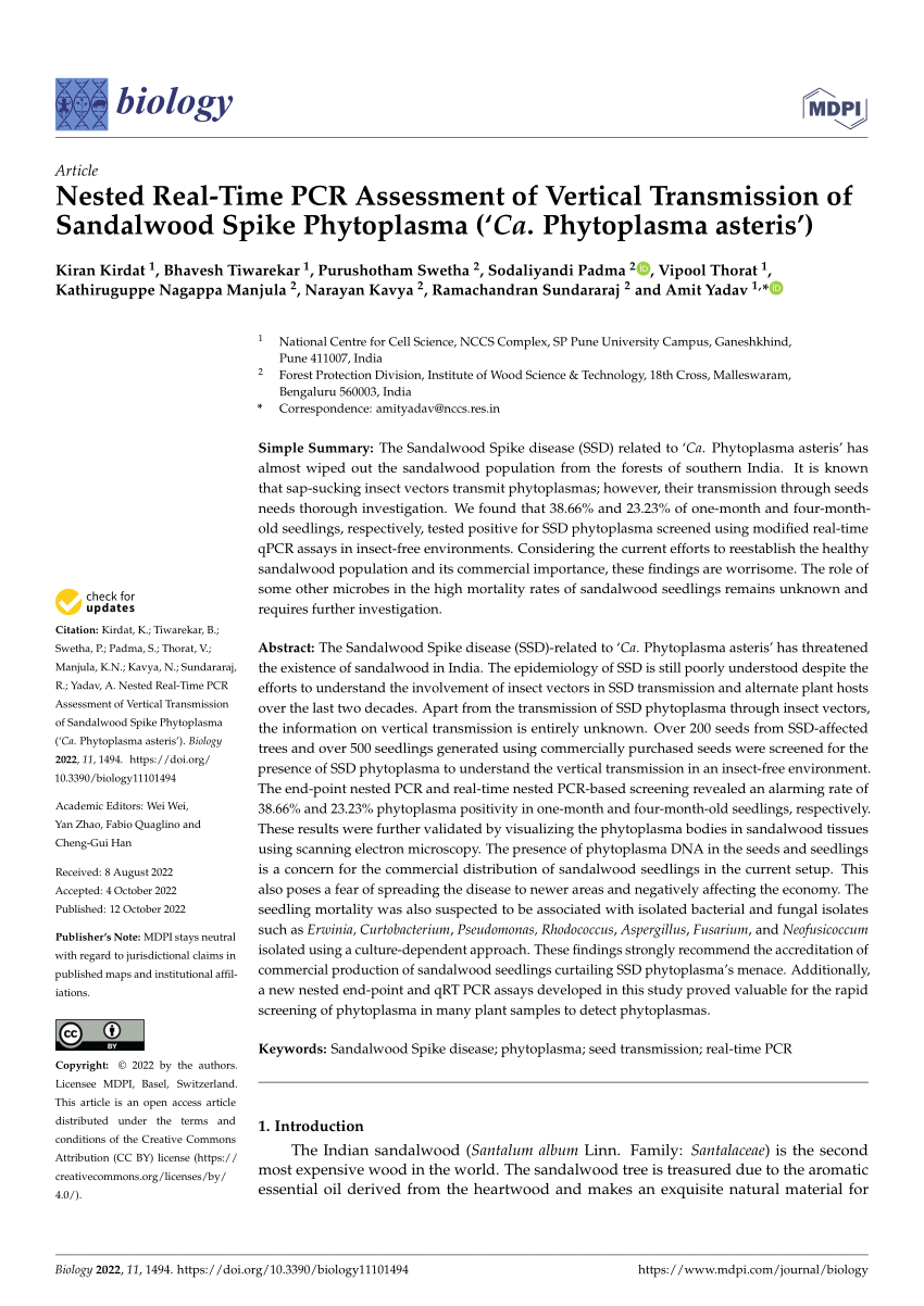 A critical appraisal on the recurrence of sandalwood spike disease and its  management practices - Mondal - 2020 - Forest Pathology - Wiley Online  Library