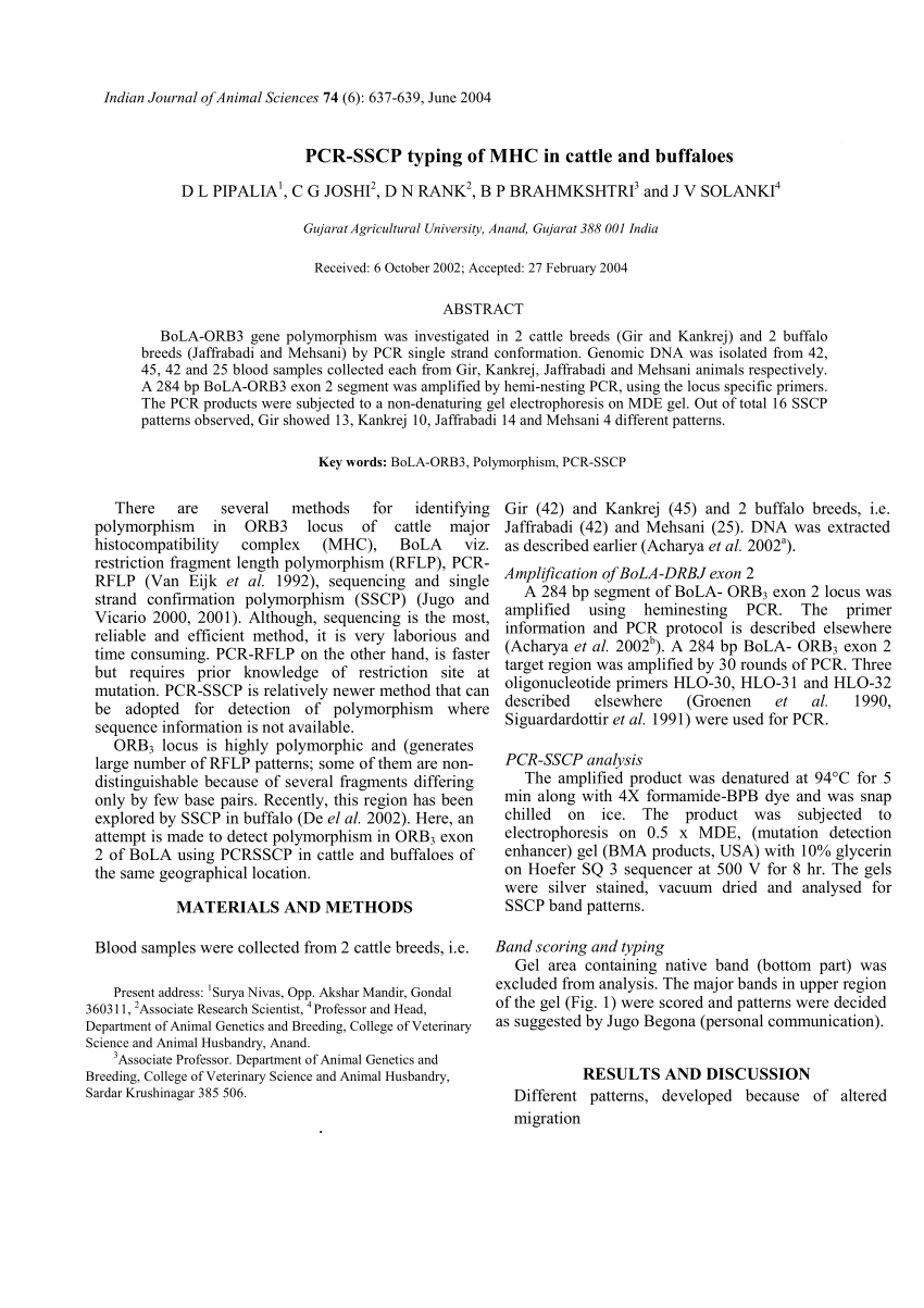 Latest SSCP Dumps Sheet