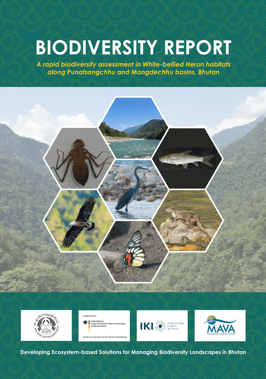 biodiversity thesis pdf
