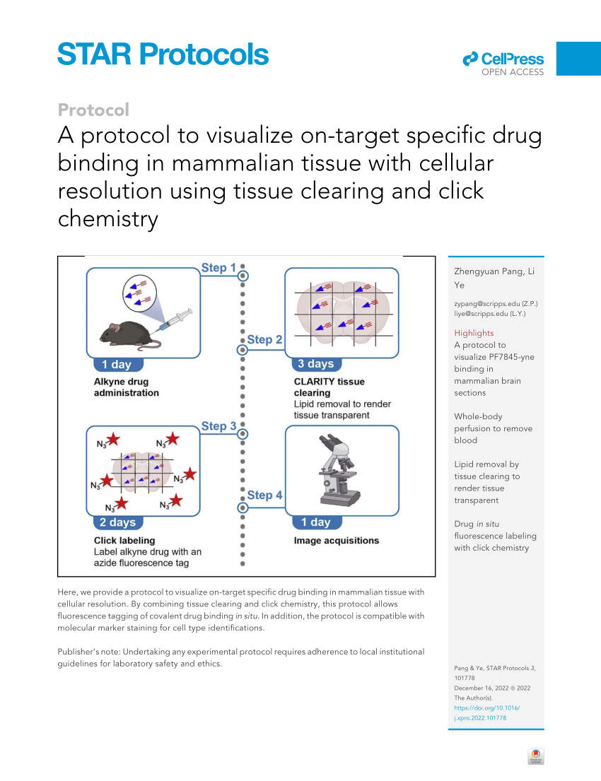 PDF) A protocol to visualize on-target specific drug binding in