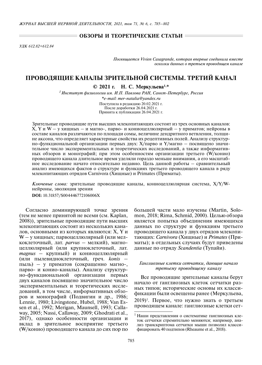 PDF) Conducting Channels in the Visual System. The Third Channel