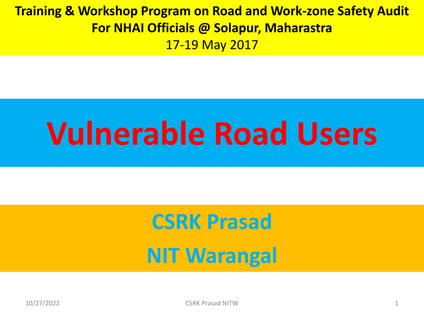 pdf-vulnerable-road-users